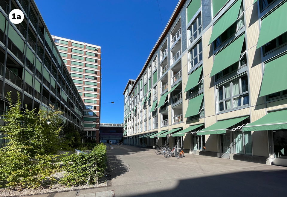 Which picture in a pair has more life?